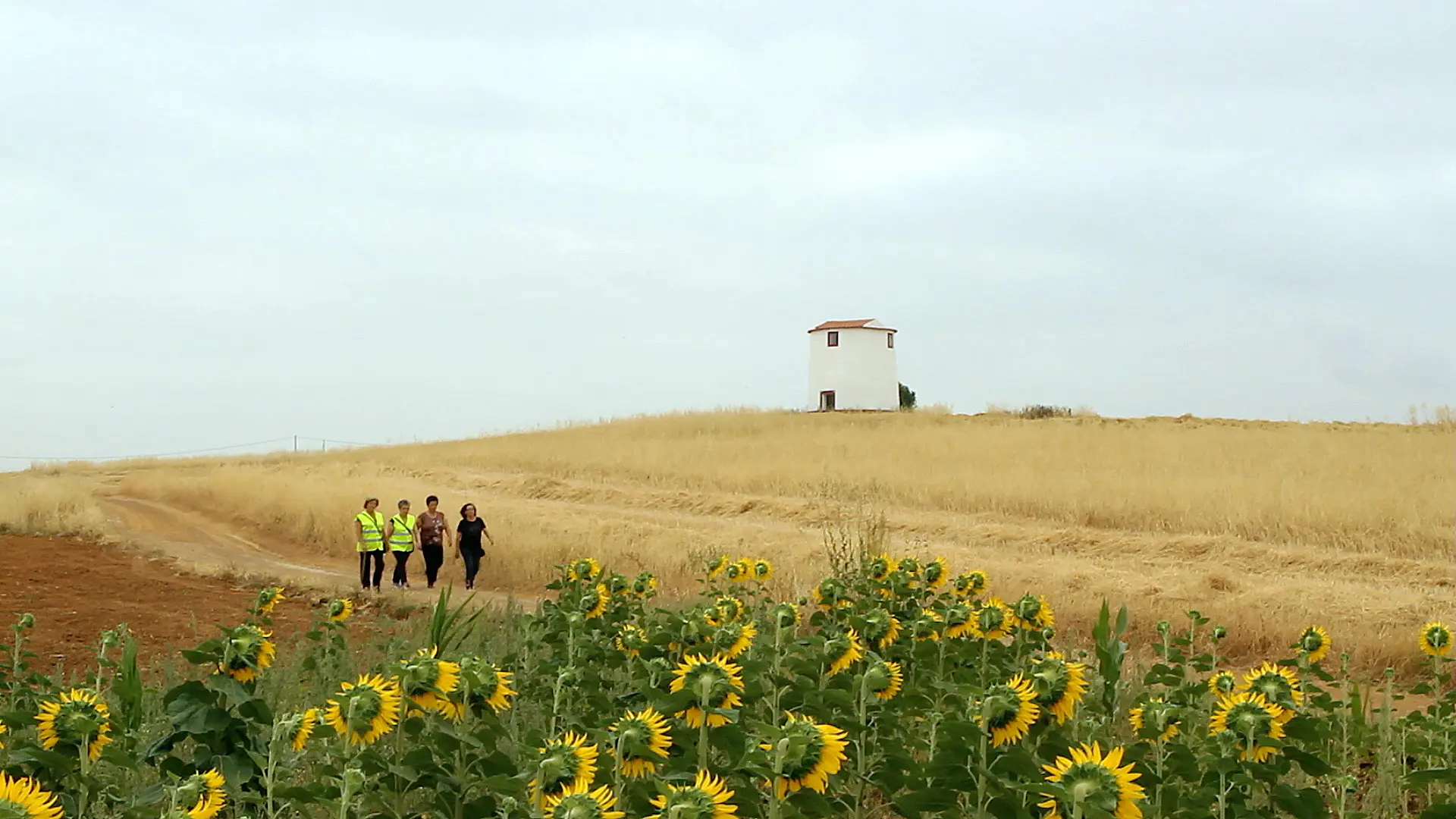 Moving Forward - People walking in the Alentejo fields with a windmill behind them